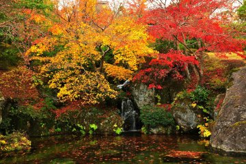 <p>&#39;닛코덴&#39;과 그 앞에 있는 연못은 11월에만 대중에게 공개된다. 가을의 마지막 장식으로, 색으로 물든 잎들이 아름답게 바닥에 떨어져 있다.</p>
