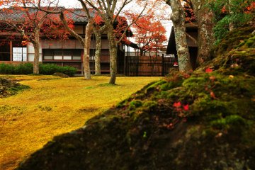 <p>일본 녹차의 특별한 맛에 더해지는 멋진 이끼 정원의 풍경</p>