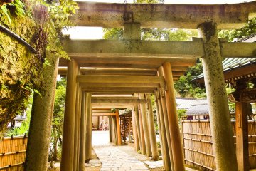 <p>A row of `torii` welcomes your arrival</p>