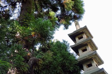 <p>Stone pagoda competing to be taller than a nearby pine tree</p>