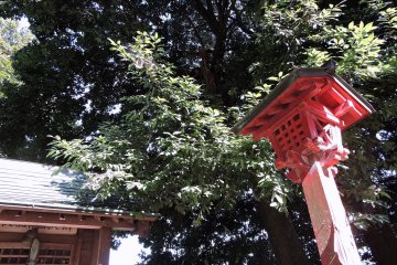 <p>Wooden red lantern standing at the entrance of the small Fox Shrine</p>