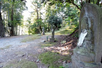 <p>The statues of Kannon Bosatsu line the path</p>