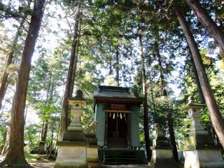 Hakusan Shrine surrounded by tall trees at Taicho-ji Temple