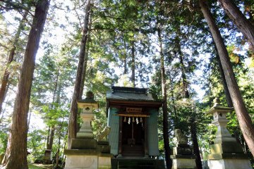 <p>Hakusan Shrine surrounded by tall trees at Taicho-ji Temple</p>