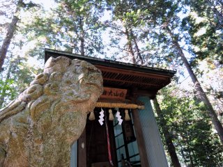 Ngôi đền Hakusan nhỏ nhắn và một con chó gác đền ở khuôn viên chùa Taicho bằng gỗ