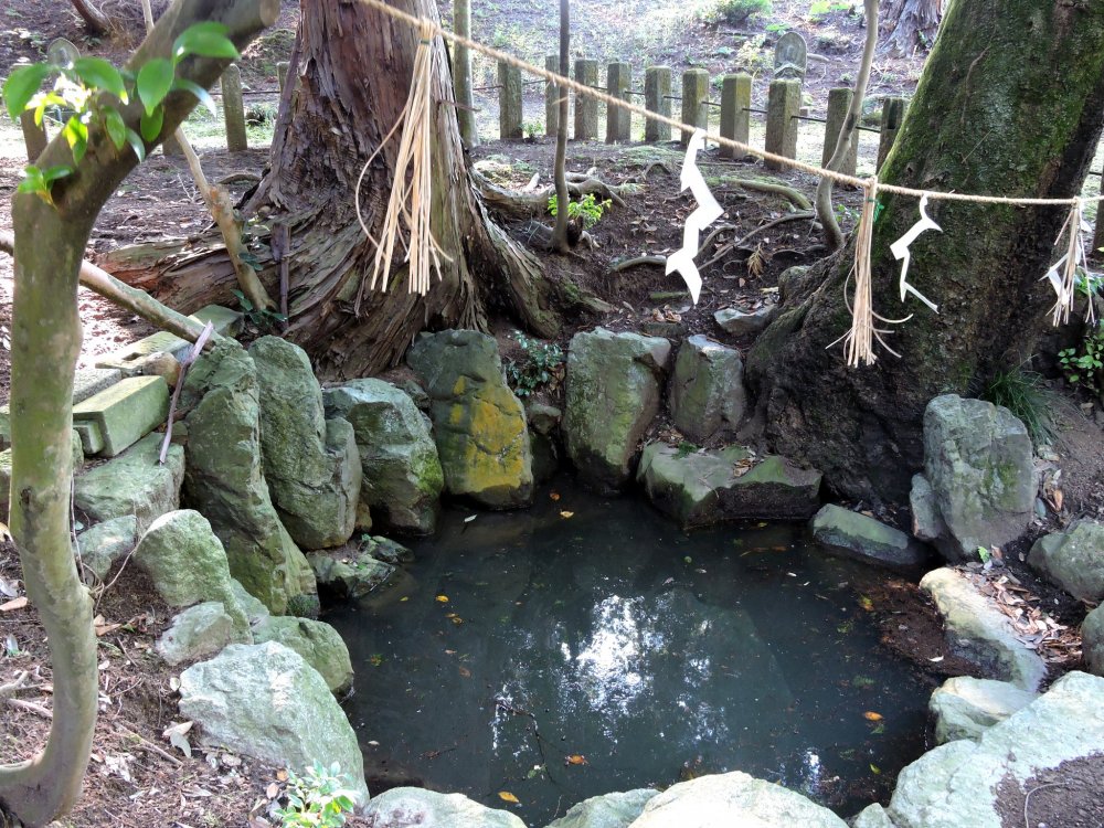 この池の水、どう見ても清潔とは思えないが、泰澄がこの池を産湯に使ったのは１３３２年も昔の話だ、その頃は恐らく綺麗だったに違いない!