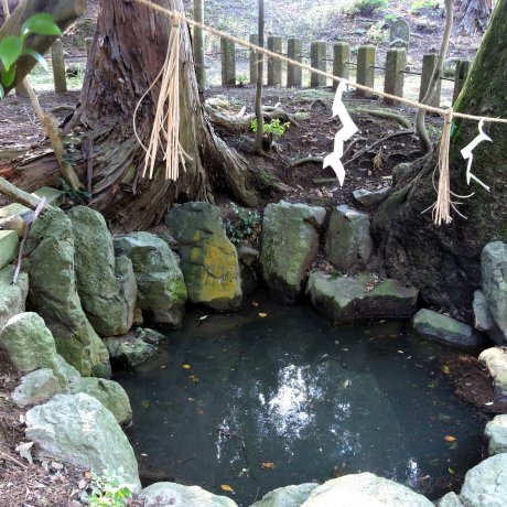 Two Historical Ponds at Taicho-ji