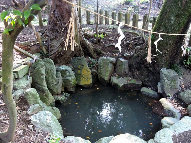 <p>As far as I can tell, the water in the pond doesn&#39;t look clear...but Taicho used this water 1332 years ago, so probably it was clear then!</p>