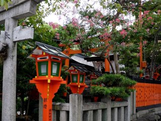 Red lanterns and pink flowers at Tatsumi Daimyojin Shrine