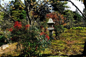 <p>Red berries draw the eye to a stone lantern</p>