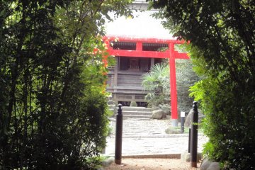 <p>Torii gates can be seen when you enter the alley at Rinno-ji</p>