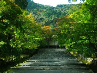 The famous temple approach of Nison-in, &#39;Momiji-no Baba (Riding Grounds with Maple Leaves)&#39;. True to its name, this walking path is decorated with fiery red maple leaves in autumn