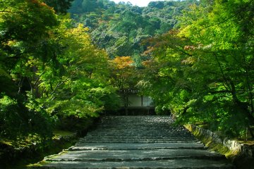 <p>The famous temple approach of Nison-in, &#39;Momiji-no Baba (Riding Grounds with Maple Leaves)&#39;. True to its name, this walking path is decorated with fiery red maple leaves in autumn</p>