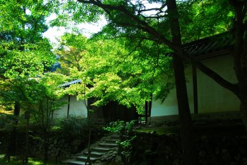สีเขียวสดใสหน้าประตูคุโระมอนเชื้อเชิญให้คุณก้าวเท้าเข้าไป