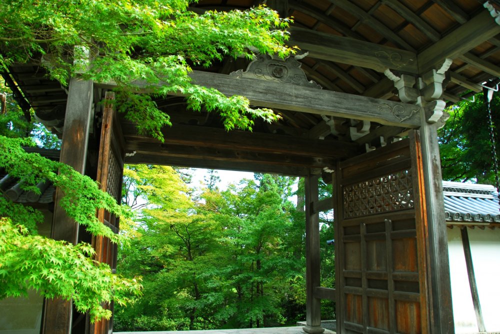 Abundant green viewed from Chokushi-mon Gate
