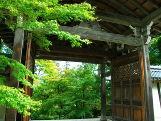 Abundant green viewed from Chokushi-mon Gate