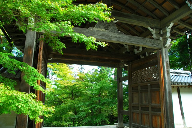 <p>Abundant green viewed from Chokushi-mon Gate</p>