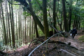 เส้นทางเดินป่า คุรามะ–คิบุเนะ 