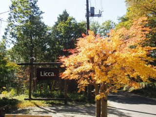 Licca is a beautiful Italian restaurant set in idylic surroundings