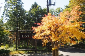 <p>Licca is a beautiful Italian restaurant set in idylic surroundings</p>