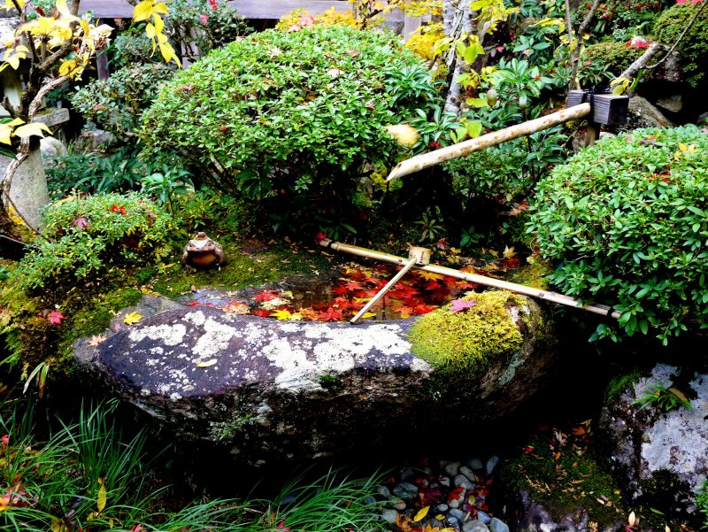 <p>A small stone water basin collects colorful fallen leaves</p>