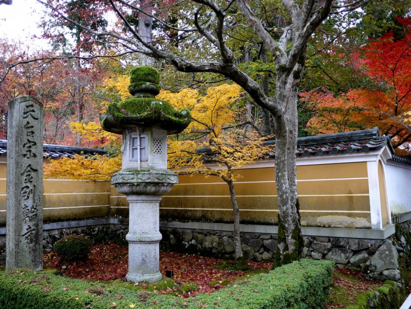 <p>A heavy crop of moss grows in a stone lantern near the gate</p>