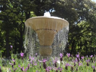 The fountain helps cool things off during the hot summer months.