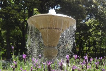 The fountain helps cool things off during the hot summer months.