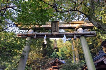 <p>Looking up at the torii gate of Kumano Shrine</p>