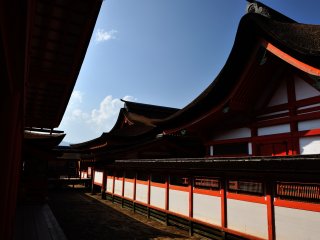 Chigi and Katsuogi (Japanese typical shrine roof ornamentation) are not used on the roofs of Itsukushima Shrine. The cypress bark-thatched roofs of this shrine are famous for their beauty