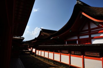 <p>Chigi and Katsuogi (Japanese typical shrine roof ornamentation) are not used on the roofs of Itsukushima Shrine. The cypress bark-thatched roofs of this shrine are famous for their beauty</p>