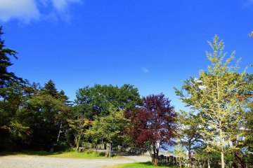 <p>In the shrine grounds trees are changing color under the blue autumn sky</p>
