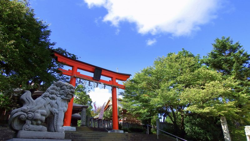 <p>Entrance of Fujishima Shrine on the hillside of Mt. Asuwa. The red torii gate and green trees under the blue sky make a striking contrast.</p>
