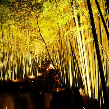 Phố đèn lồng Kyoto Arashiyama