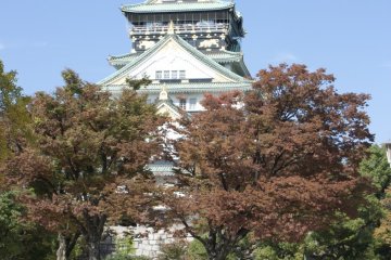 <p>ปราสาทโอซาก้า ( 大阪城) ที่ตระหง่านท่ามกลางความงดงามของใบไม้เปลี่ยนสีในฤดูใบไม้ร่วง</p>