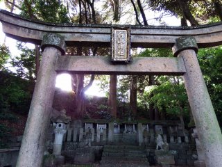 Looking up at the stone torii gate of Hakusan Shrine