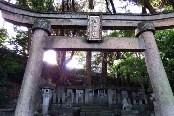 <p>Looking up at the stone torii gate of Hakusan Shrine</p>