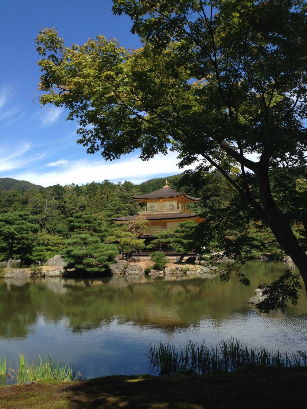 Hầu như tất cả mọi người đến thăm Kinkaku-ji dừng lại ở "điểm chụp ảnh" đầu tiên này, nhưng nếu bạn đi bộ một chút đến khu vực không có nhiều người, bạn cũng có thể chụp được một bức ảnh đẹp!