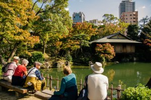 Tourist enjoy the peaceful atmosphere of Sorakuen Garden