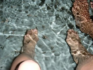 Dans le bain turc, les petits poissons grignotent vos pieds ! Il faut attendre dans la file d'attente dédiée  et vous pouvez être pris en photo pour 1000 yens