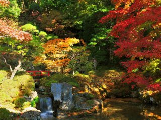 Taman khas Jepang di Kuil Shuzenji, yang dibuka khusus untuk publik selama musim gugur. Taman ini disebut-sebut sebagai taman khas Jepang yang terindah di kawasan Tokai.