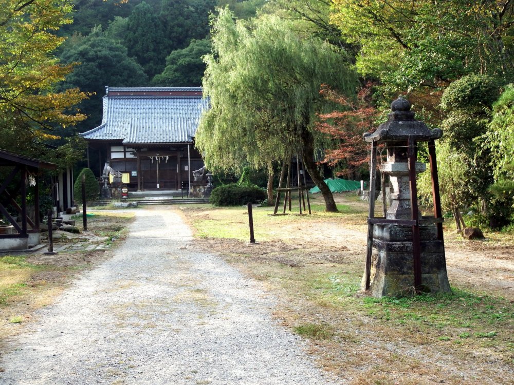 Quiet shrine grounds in the late afternoon