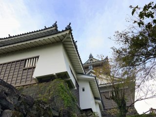 Looking up at Ono Castle from below