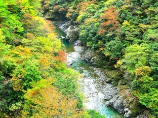 日本でも有数の断崖の渓谷美