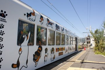 <p>นี่แหละโฉมหน้าของรถไฟสายแมวเหมียว Tama Line อันโด่งดัง ซึ่งนี่ก็คือรถไฟสาย The Kishigawa Line (貴志川線) วิ่งให้บริการระหว่างสถานี Wakayama จ.วากายาม่า (Wagayama) ไรถไฟสายแมวเหมียว Tama Line ที่โด่งดังนี้อันที่จริงก็คือรถไฟสาย The Kishigawa Line (貴志川線) ซึ่งวิ่งให้บริการระหว่างสถานี Wakayama จ.วากายาม่า (Wagayama) ไปยังสถานี Kishi เมืองคิโนกาว่า (Kinokawa) เป็นระยะทางกว่า 14.3 กม.</p>
