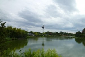 View of the pond and the observatory tower.