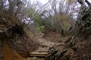 Hiking trail on Mt. Oyama &nbsp;