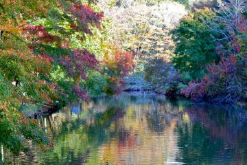 <p>Beautiful reflections of Autumn</p>