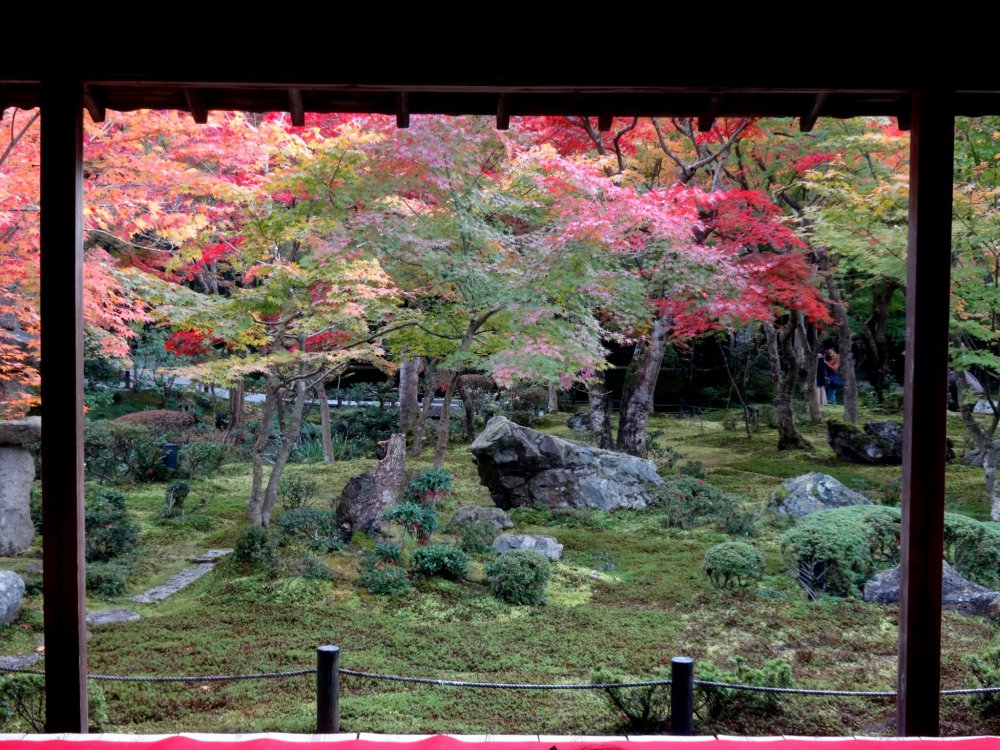 Khung cảnh khi nhìn ra khu vườn bên trong từ hiên của đền Enkoji