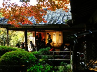 Para pengunjung mengagumi keindahan daun-daun musim gugur dari Ruang Shisen